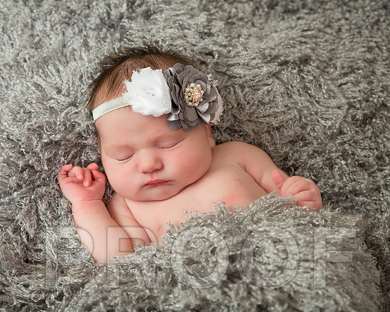Isabella-4 copy