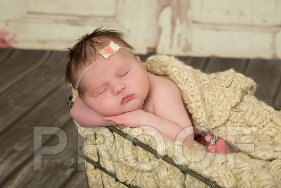 Isabella-9 copy