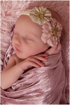 Lilly-0002 copy