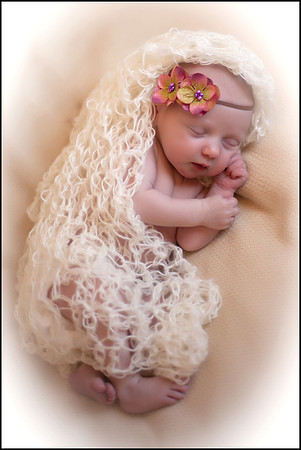 Lilly-2-8 copy