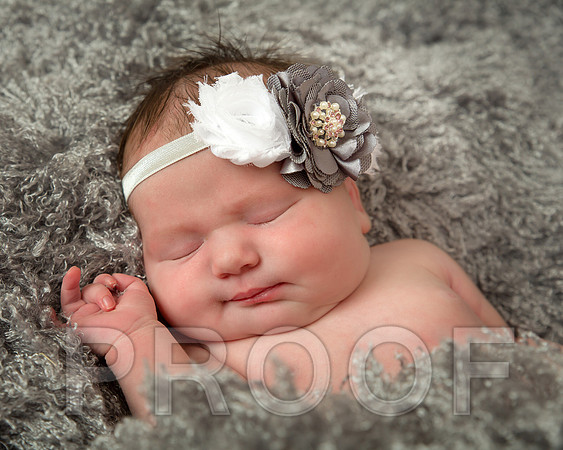 Isabella-5 copy