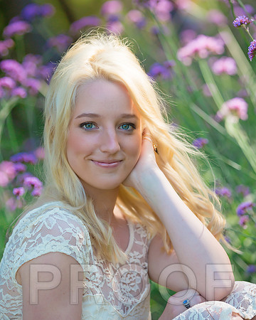 Stevens-3 copy