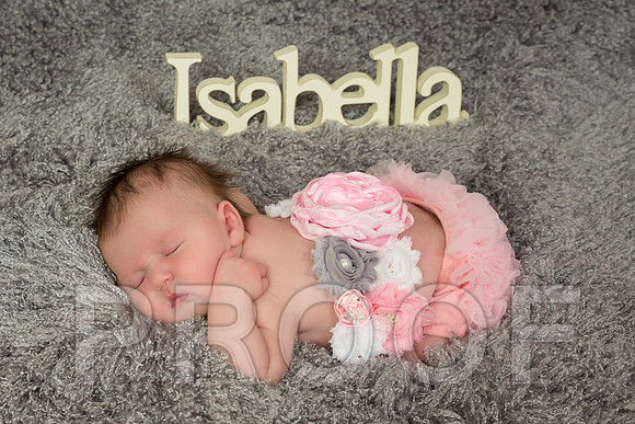 Isabella-6 copy