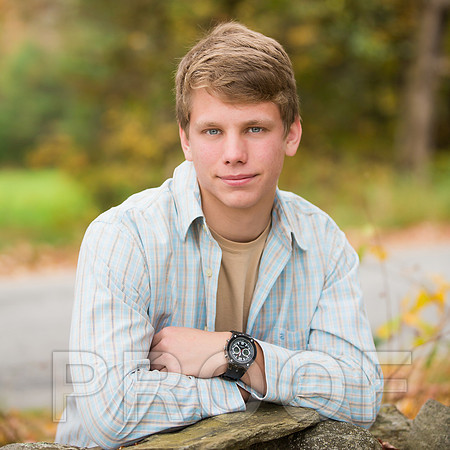 Gustin-2 copy