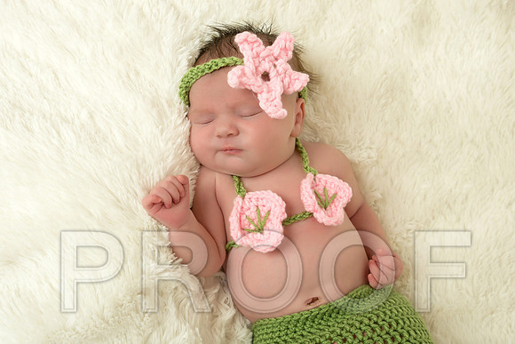 Isabella-8 copy