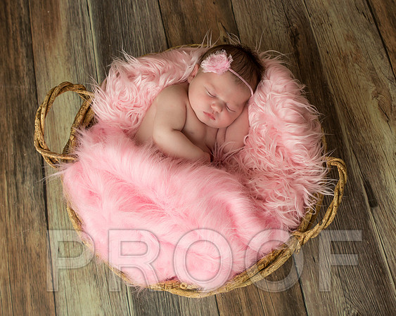 Isabella-13 copy