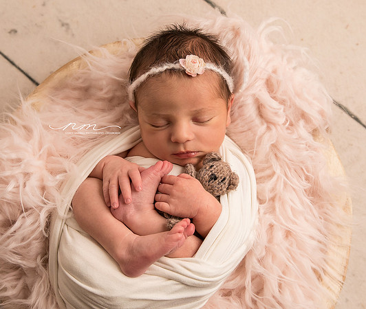 02092019-nancymerrillphotography-mainenewbornphotographer-mainebabystudio-babygirlsession-maineinfantphotographer-newenglandnewbornphotographer-cuteasabutton-centralmainebabyphotographer-androscogginp