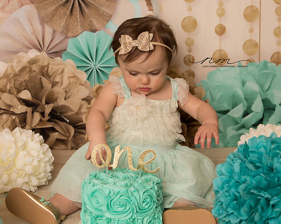 04092019nancymerrillphotography-mainechildrensphotographer-mainetoddlerphotographer-newenglandportraitstudio-1yearposing-mainebabyplanphotographer-cakesmash-mainefirstyearbabyplan