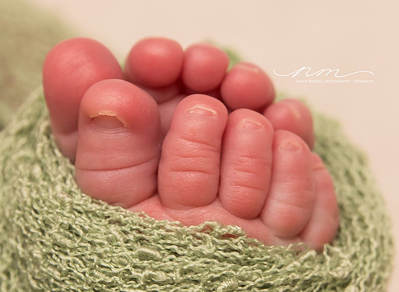 09072019-nancymerrillphotography-mainenewbornphotographer-mainebabystudio-babygirlsession-maineinfantphotographer-newenglandnewbornphotographer-cuteasabutton-centralmainebabyphotographer-babytoes-andr