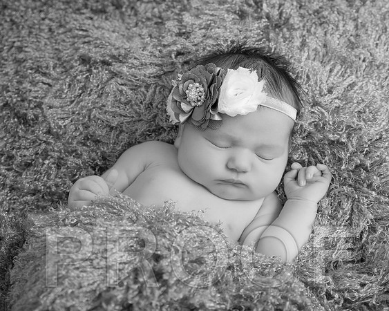 Isabella-4 copybw
