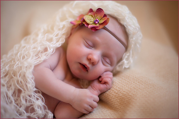 Lilly-2-9 copy