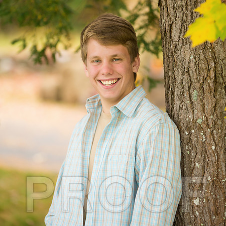 Gustin-17 copy