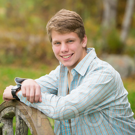 Gustin-18 copy