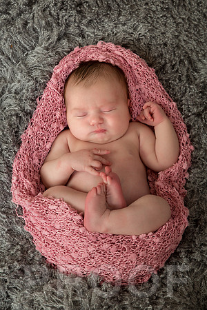 Isabella-1 copy
