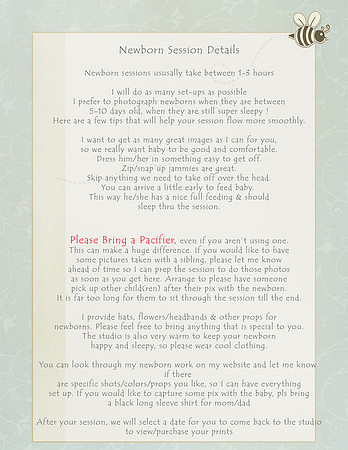 Newborn Session Email to Parents