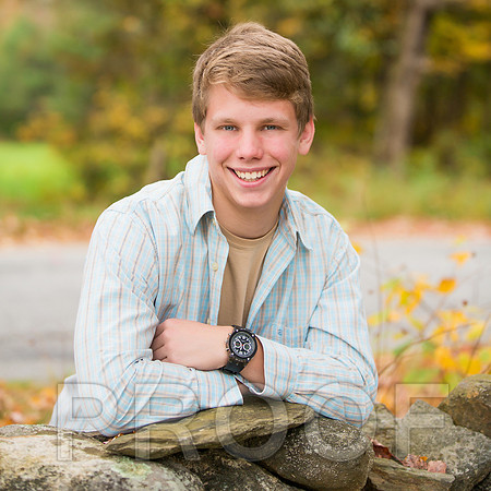 Gustin-3 copy