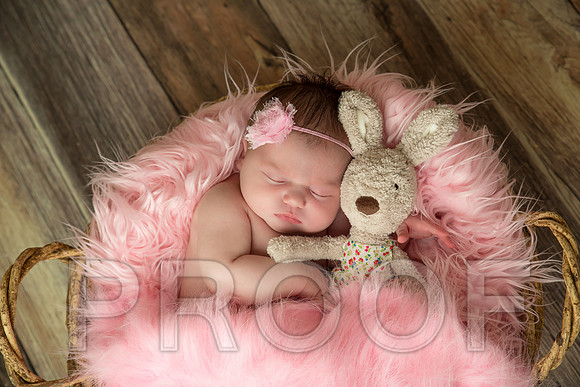 Isabella-14 copy